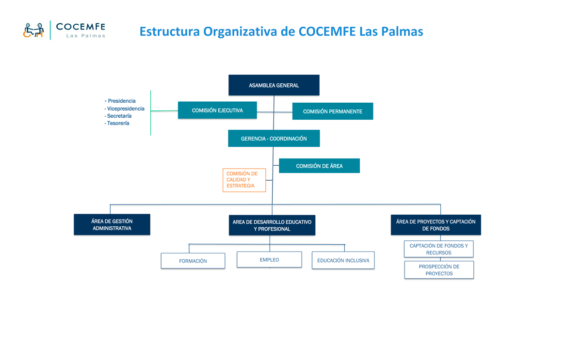 Organigrama COCEMFE (actualizado 04/2025)
